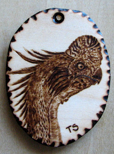 oviraptor tanja sova pyrography